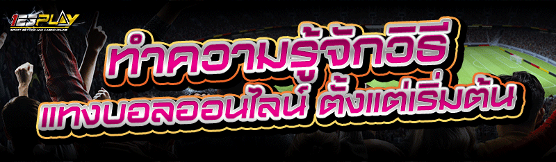 ทำความรู้จักวิธี แทงบอลออนไลน์ ตั้งแต่เริ่มต้น