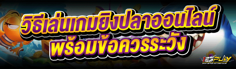 วิธีเล่น เกมยิงปลาออนไลน์ พร้อมข้อควรระวัง